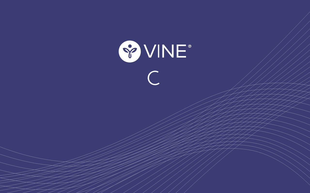 VINELink Tennessee search screen for a Lincoln County custody check
